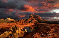 Arizona