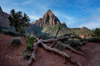 Watchman