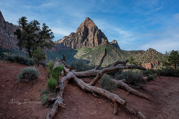 Watchman