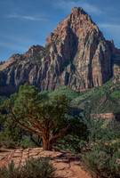 Watchman