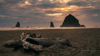 Cannon Beach