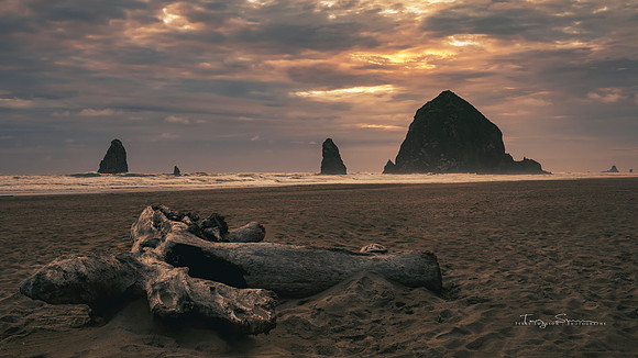 Cannon Beach